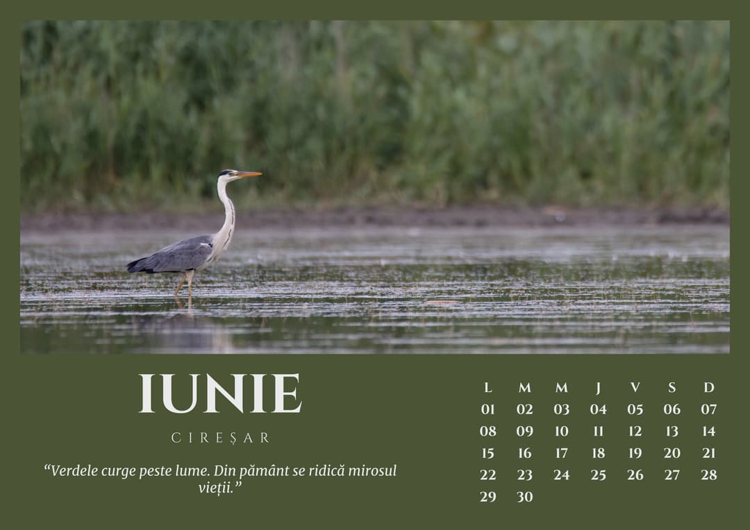 June calendar file